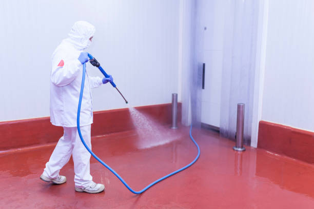Best Rust Removal  in Madeira Beach, FL